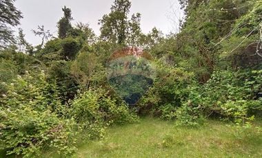 Gran terreno 5.5 HA cercano al pueblo de Mafil