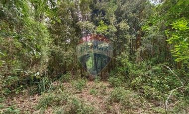 Gran terreno 5.5 HA cercano al pueblo de Mafil