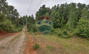 Gran terreno 5.5 HA cercano al pueblo de Mafil