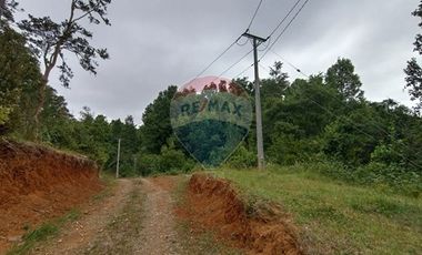 Gran terreno 5.5 HA cercano al pueblo de Mafil