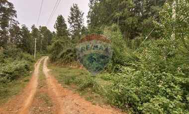 Gran terreno 5.5 HA cercano al pueblo de Mafil