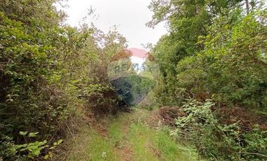 Gran terreno 5.5 HA cercano al pueblo de Mafil