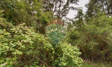 Gran terreno 5.5 HA cercano al pueblo de Mafil