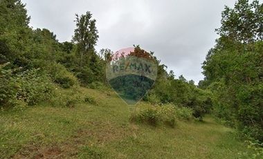Gran terreno 5.5 HA cercano al pueblo de Mafil