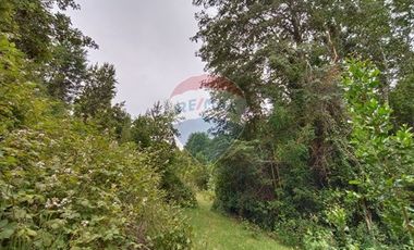 Gran terreno 5.5 HA cercano al pueblo de Mafil