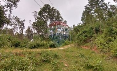 Gran terreno 5.5 HA cercano al pueblo de Mafil