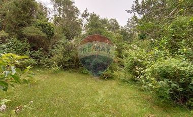 Gran terreno 5.5 HA cercano al pueblo de Mafil
