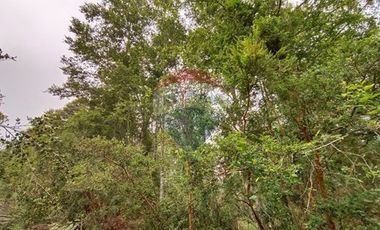 Gran terreno 5.5 HA cercano al pueblo de Mafil
