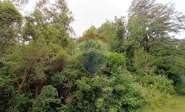 Gran terreno 5.5 HA cercano al pueblo de Mafil