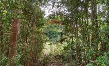 Gran terreno 5.5 HA cercano al pueblo de Mafil