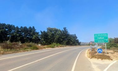 EXCELENTE!! Parcela de 5.000 m2 con una Vista Espectacular en Alto Cahuil, Pichilemu