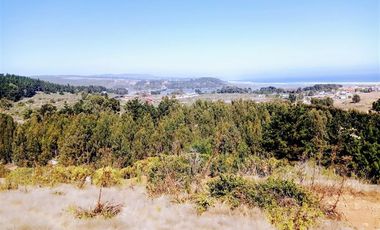 EXCELENTE!! Parcela de 5.000 m2 con una Vista Espectacular en Alto Cahuil, Pichilemu