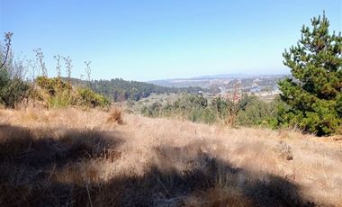 EXCELENTE!! Parcela de 5.000 m2 con una Vista Espectacular en Alto Cahuil, Pichilemu