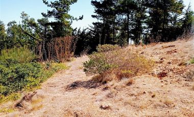 EXCELENTE!! Parcela de 5.000 m2 con una Vista Espectacular en Alto Cahuil, Pichilemu