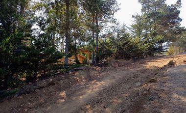 EXCELENTE!! Parcela de 5.000 m2 con una Vista Espectacular en Alto Cahuil, Pichilemu