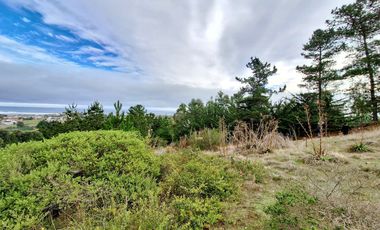 EXCELENTE!! Parcela de 5.000 m2 con una Vista Espectacular en Alto Cahuil, Pichilemu