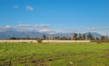 ANGOSTURA - SAN FERNANDO