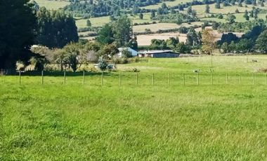 PARCELA RUTA A ENSENADA.  FACTIBILIDAD COMERCIAL O CABAÑAS