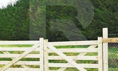 PARCELA RUTA A ENSENADA.  FACTIBILIDAD COMERCIAL O CABAÑAS