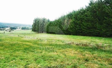 PARCELA RUTA A ENSENADA.  FACTIBILIDAD COMERCIAL O CABAÑAS