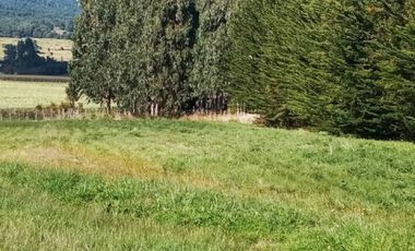 PARCELA RUTA A ENSENADA.  FACTIBILIDAD COMERCIAL O CABAÑAS