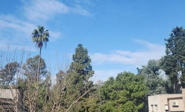 Departamento Venta Canning Bambu Classic