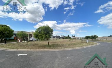 Terreno - Lote interno - Pilar del este - San Ramon