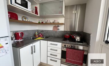 Hermoso departamento dos ambientes temporario en Palermo