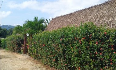 Se vende HOSTAL en Palomino la Guajira