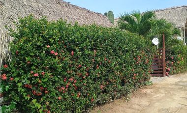 Se vende HOSTAL en Palomino la Guajira