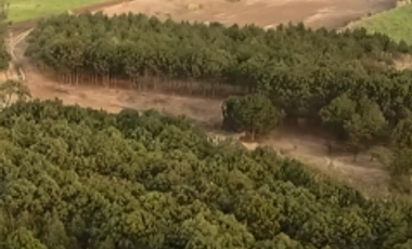 Terreno en Venta con uso de suelo mixto, El Arenal, Jalisco