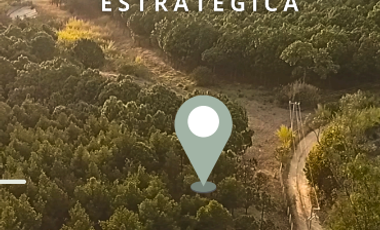 Terreno en Venta con uso de suelo mixto, El Arenal, Jalisco