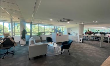 RENTO OFICINA SECTOR CABRERA