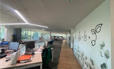 RENTO OFICINA SECTOR CABRERA