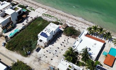 Depa 3 recámaras FRENTE al MAR en playa San Benito Yucatan