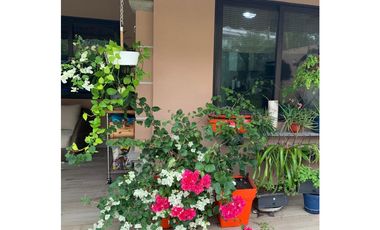 CASA EN VERSALLES MODELO LYON