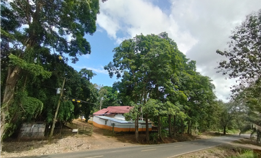 Se Vende Finca Comercial de 10 HAS El Espino- Vía Santa Rita (DR)