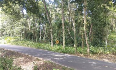 Se Vende Finca Comercial de 10 HAS El Espino- Vía Santa Rita (DR)