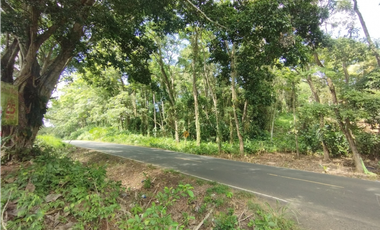 Se Vende Finca Comercial de 10 HAS El Espino- Vía Santa Rita (DR)