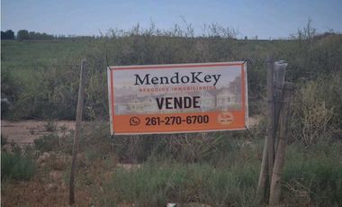 VENTA DE EXCEPCIONAL FINCA 50 HAS EN RUTA NACIONAL 7- AGRELO, MZA