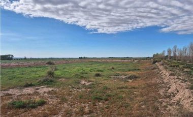 VENTA DE EXCEPCIONAL FINCA 50 HAS EN RUTA NACIONAL 7- AGRELO, MZA