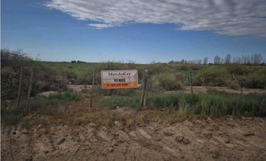 VENTA DE EXCEPCIONAL FINCA 50 HAS EN RUTA NACIONAL 7- AGRELO, MZA