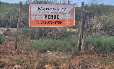 VENTA DE EXCEPCIONAL FINCA 50 HAS EN RUTA NACIONAL 7- AGRELO, MZA