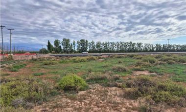 VENTA DE EXCEPCIONAL FINCA 50 HAS EN RUTA NACIONAL 7- AGRELO, MZA