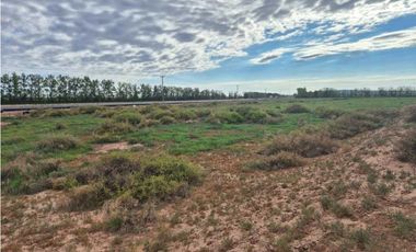 VENTA DE EXCEPCIONAL FINCA 50 HAS EN RUTA NACIONAL 7- AGRELO, MZA