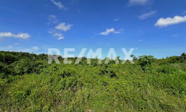 VENTA TERRENO INDUSTRIAL