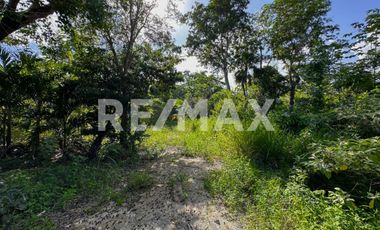 VENTA TERRENO INDUSTRIAL