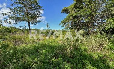 VENTA TERRENO INDUSTRIAL