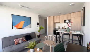 ARRIENDO METRO ÑUBLE / SARGENTO ALDEA / MAULE