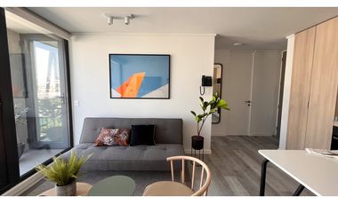 ARRIENDO METRO ÑUBLE / SARGENTO ALDEA / MAULE